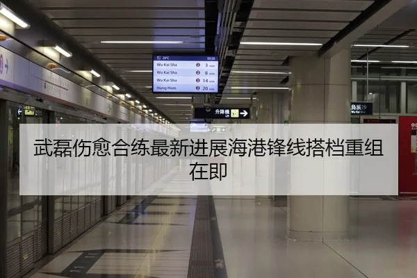武磊伤愈合练最新进展海港锋线搭档重组在即
